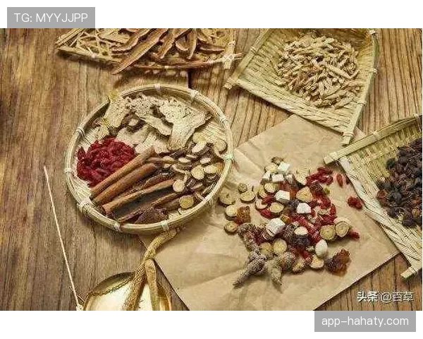 搞懂篮球二次起跳规则的常见理解误区